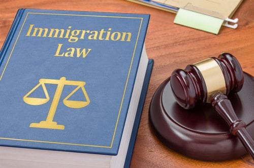 immigration law book