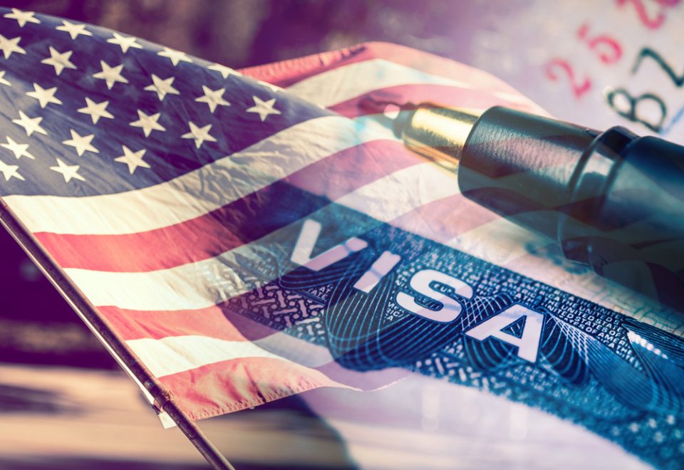 immigration visa status examples